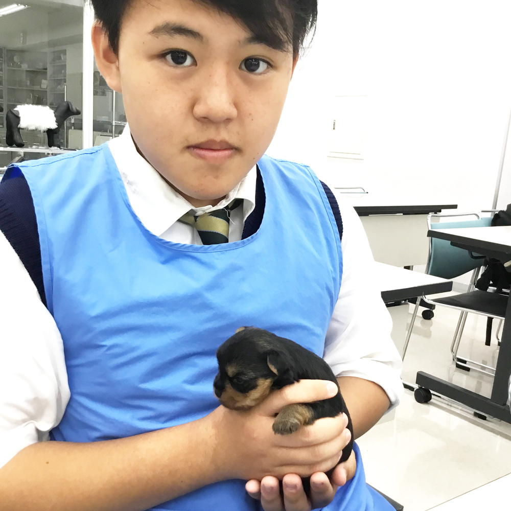 高校生の職業体験♪